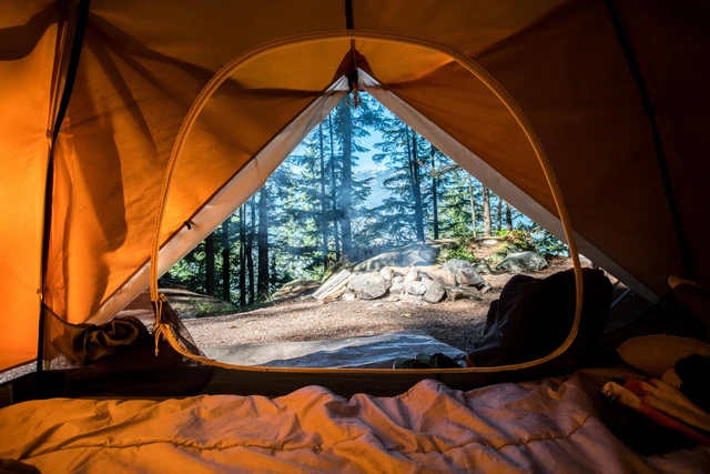 Arti dan Ekosistem Camping Ground