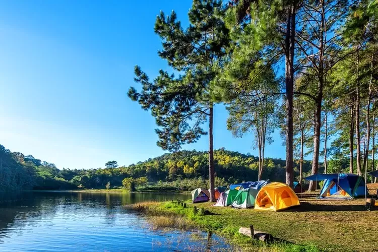 Camp Anak Petualang
